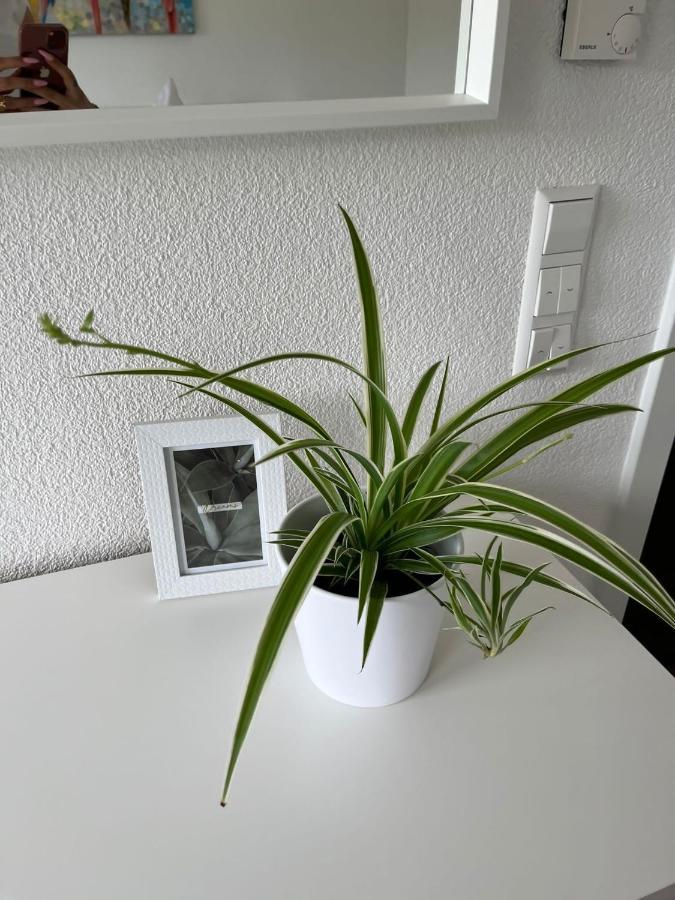 Apartment Stauffenberg